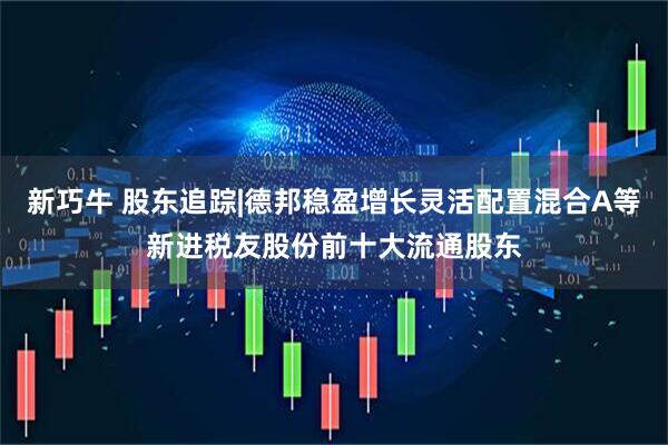 新巧牛 股东追踪|德邦稳盈增长灵活配置混合A等新进税友股份前十大流通股东